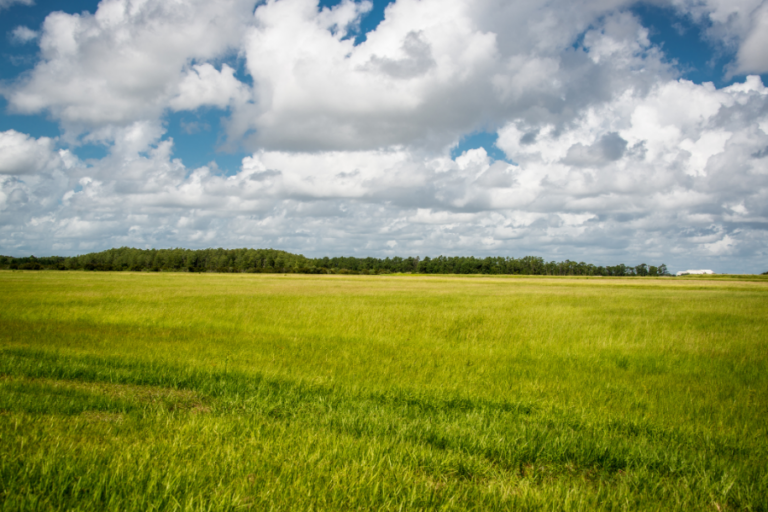 terenuri de vânzare