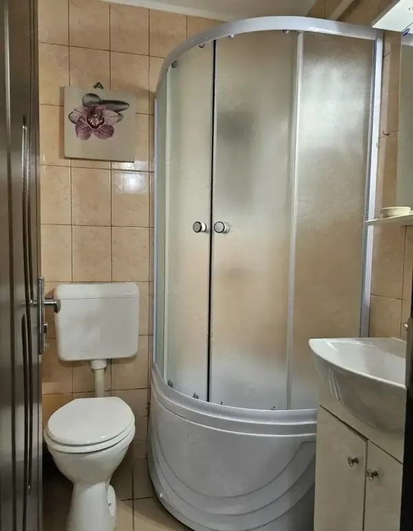 Ap. 1 cameră • București