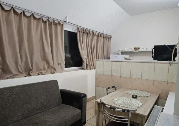 Ap. 1 cameră • București