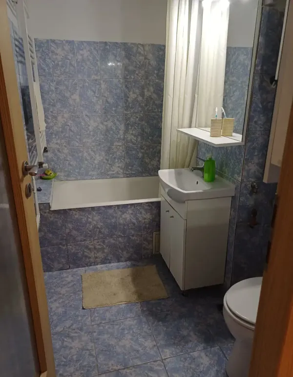 Ap. 1 cameră • Timișoara