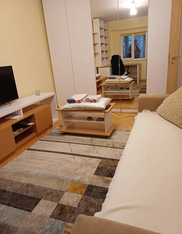 Ap. 1 cameră • Timișoara