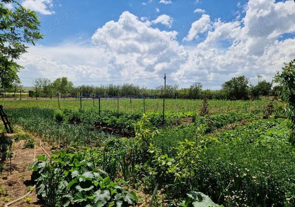 Casă/Vilă 3 camere • Corbu