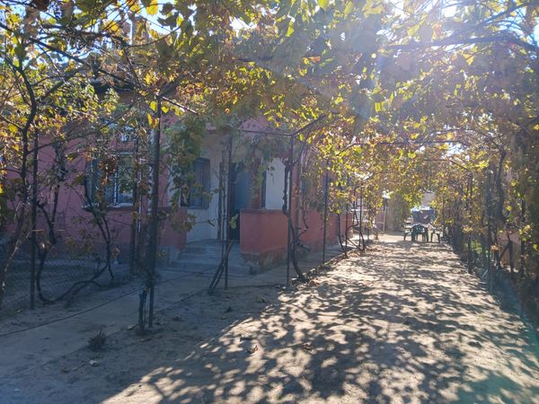 Casă/Vilă 2 camere • Cârna