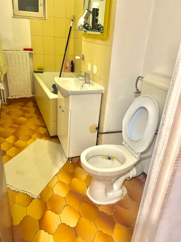 Ap. 1 cameră • Socului, Sector 2