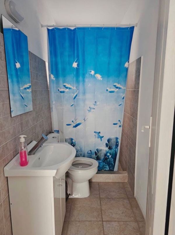 Ap. 3 camere • Costinești