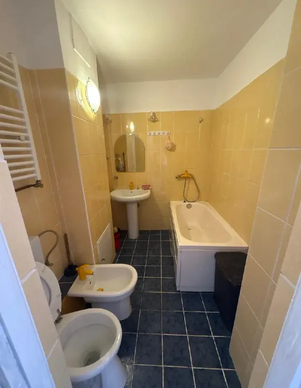 Ap. 2 camere • Timișoara