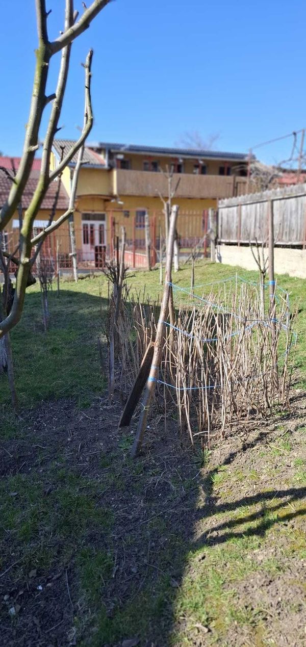 Casă/Vilă 2 camere • Cluj-Napoca