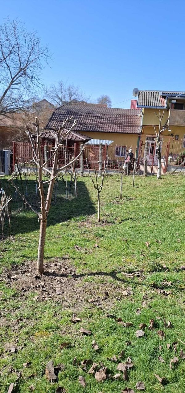 Casă/Vilă 2 camere • Cluj-Napoca
