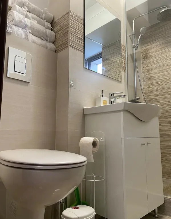 Ap. 3 camere • București