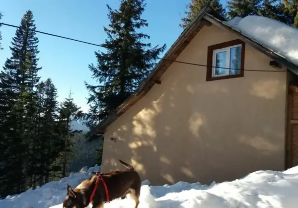 Casă/Vilă 3 camere • Târgu Jiu