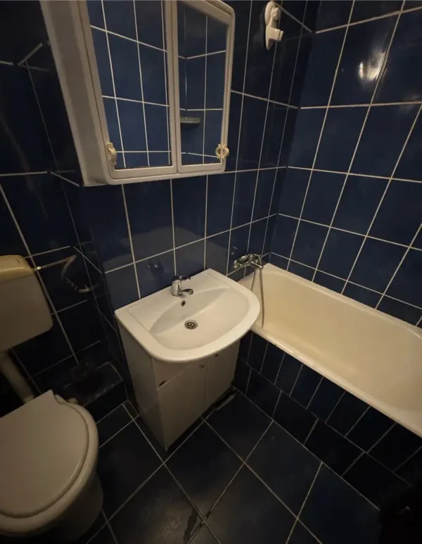 Ap. 3 camere • Timișoara