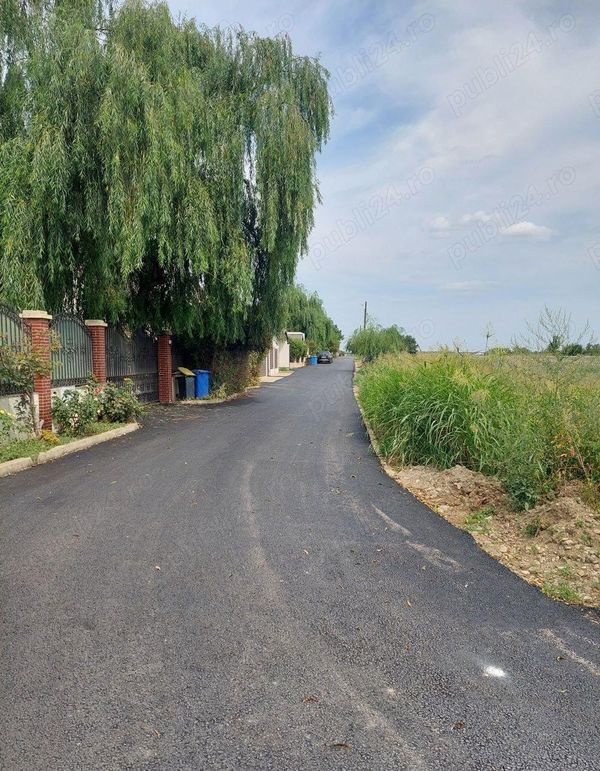 Teren • Balotești