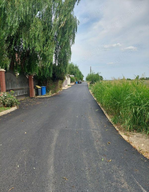 Teren • Balotești