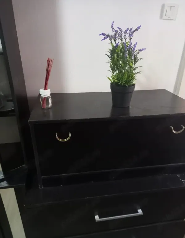 Ap. 1 cameră • Arad