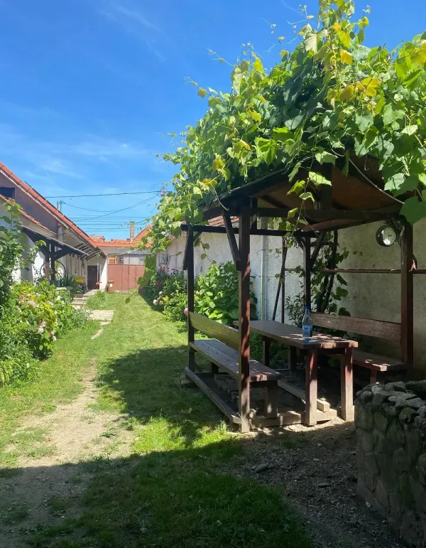 Casă/Vilă 4 camere • Geoagiu