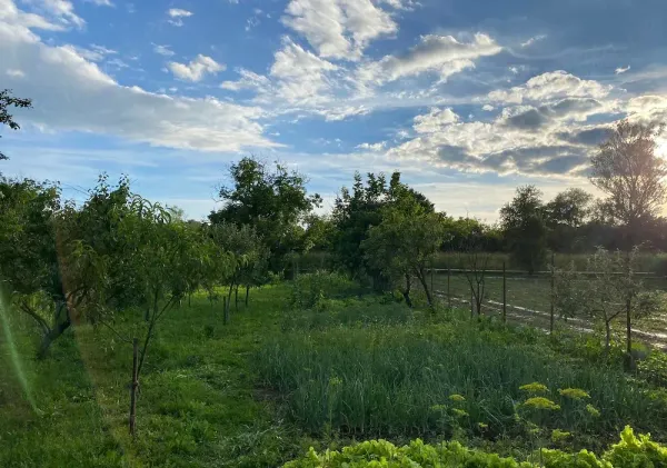 Casă/Vilă 4 camere • Geoagiu